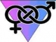 bisexuales